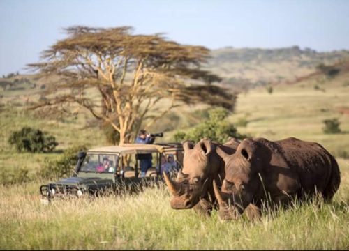 10 Days Kenya Safari