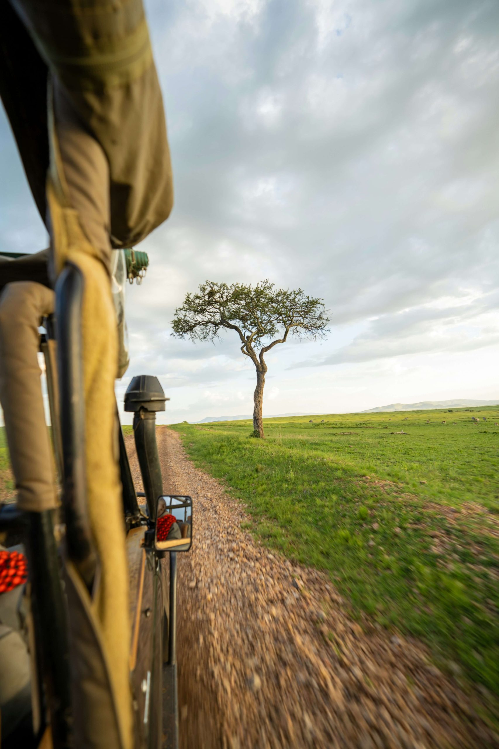 Luxury Kenya Safaris