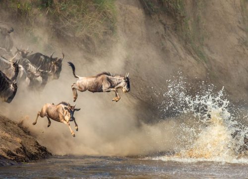 6 Days Kenya Safari Tour