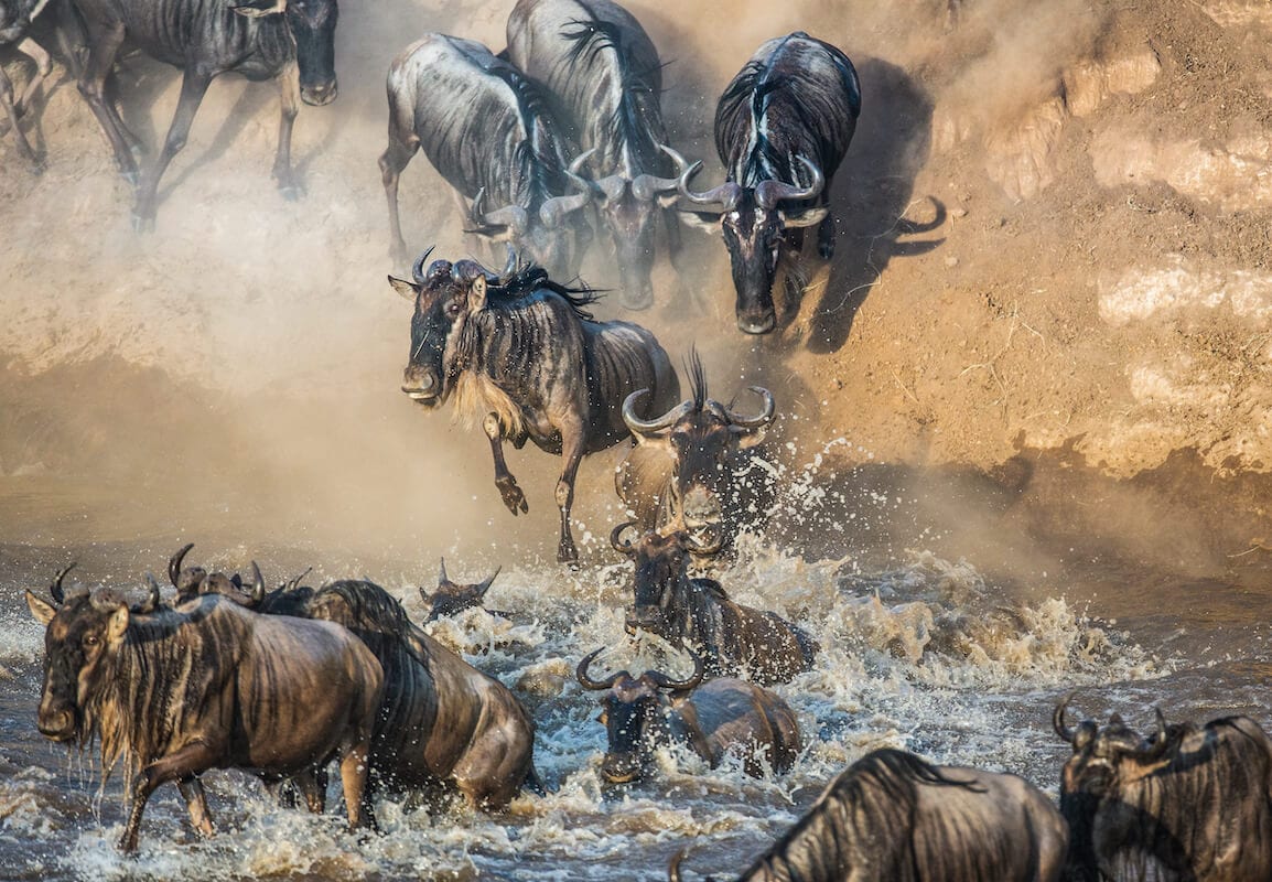 Serengeti River Crossings