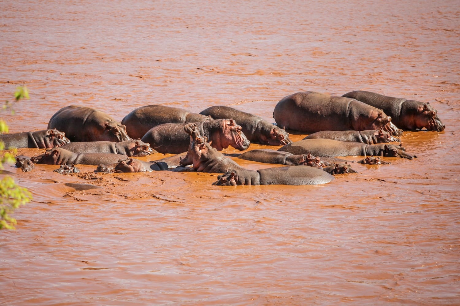 Tsavo Safari Tour