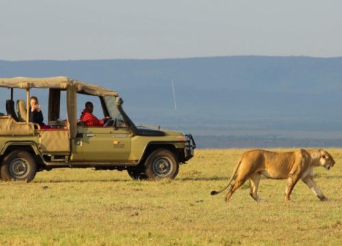 5 Days Private Kenya Safari