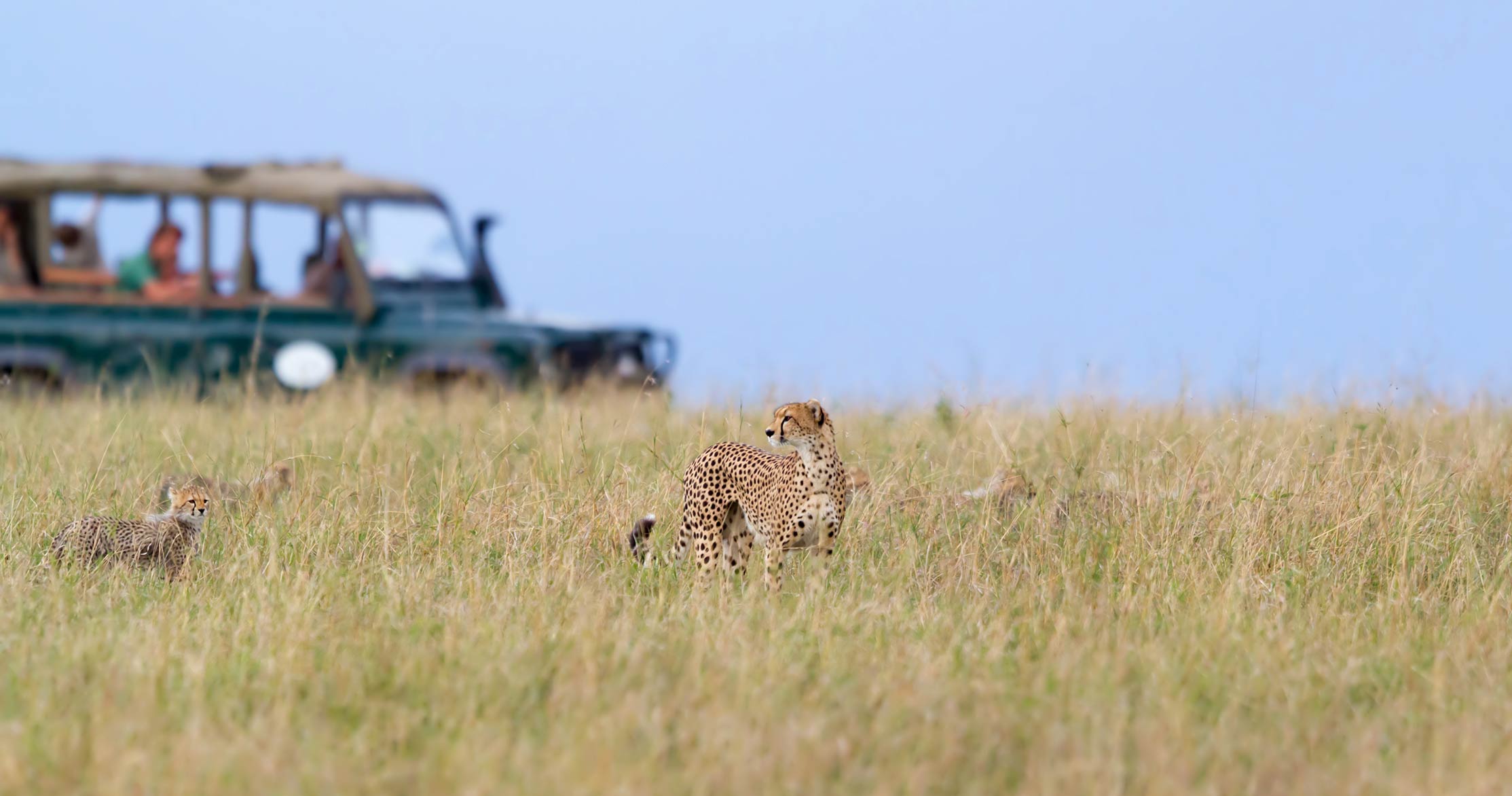 Masai Mara Safaris