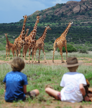 15 BEST Kenya Safaris